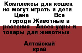 Комплексы для кошек, но могут играть и дети › Цена ­ 11 900 - Все города Животные и растения » Аксесcуары и товары для животных   . Алтайский край,Бийск г.